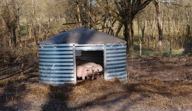 Small cottage on the farm