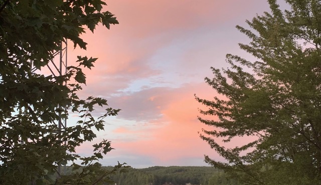 Small cottage on upper higley