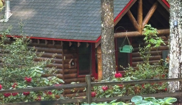 Small cozy log cabin sleeps two, where nature abounds near the Tallulah River