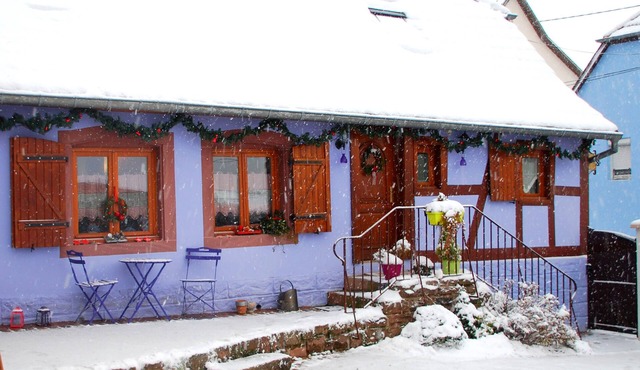 Small cozy nest with GARDEN in the heart of Alsace near Obernai. FREE WIFI