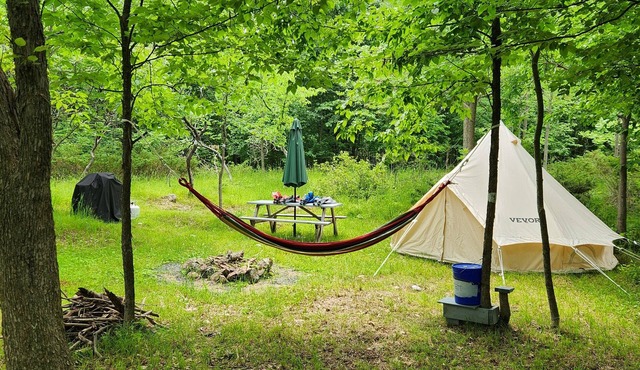 Small family & pet friendly campground. Easy access to many public beaches.