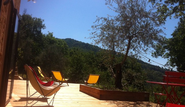 Small farmhouse in olive grove with swimming pool