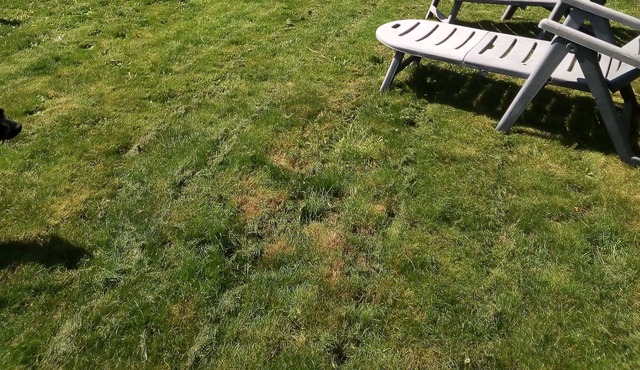 Small holiday cottage, 2/4 people, in the heart of the Mayenne countryside