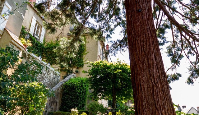 Small Gîte "Cordeliers