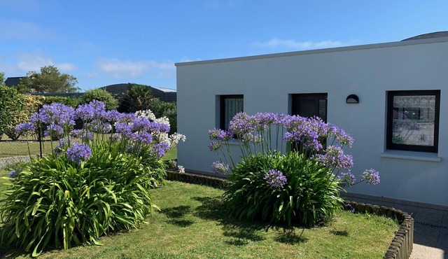 Small garden level for a seaside holiday