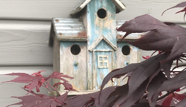 Small guest house amid apple trees
