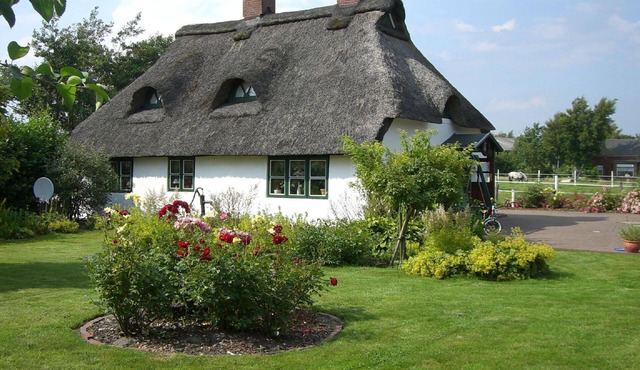 Small historic thatched house on an old dyke in Helse