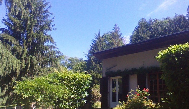 Small house with large plot 1/2 Hectares