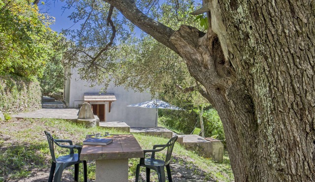 Small house for holidays in full nature.