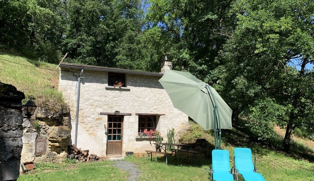 Small house in the forest