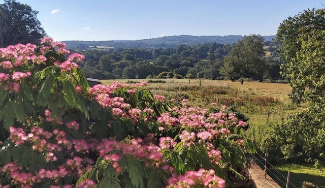 Small House "Gite À La Ferme" with Shared Pool, Private Garden and Wi-Fi