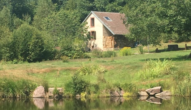 Small house in the middle of the forest.