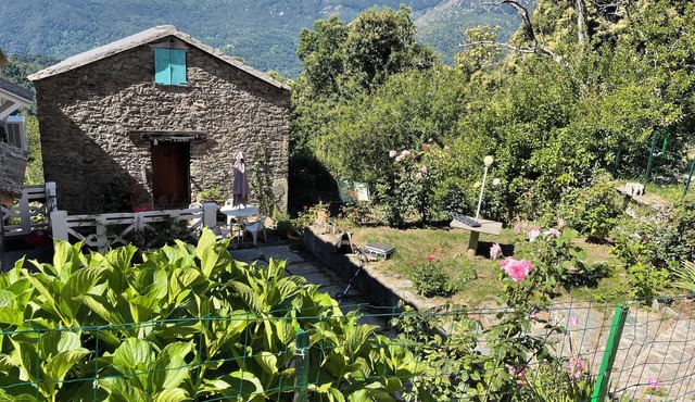 Small house in the mountains in the heart of the chestnut grove in a village