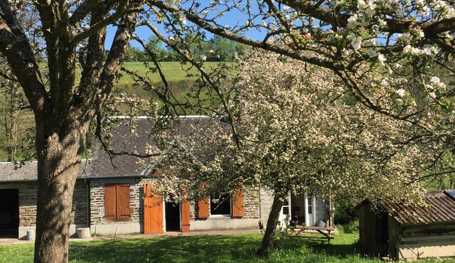 Small house o waterfront.