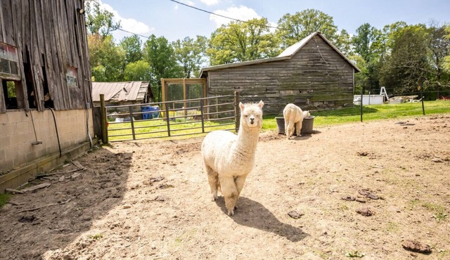 Small House on Gentleman’s Farm