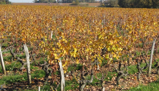 Small house, typical of the Touraine
