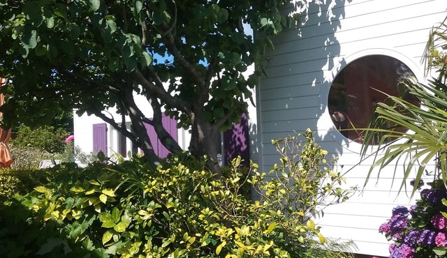 Small independent house