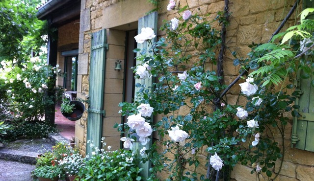 Small indoor/outdoor paradise