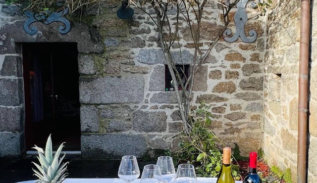 Small manoir fireplace private pool courtyard