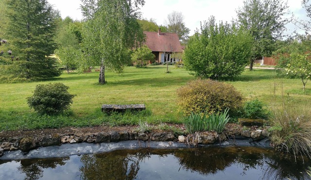Small paradise in a green setting - Heated swimming pool