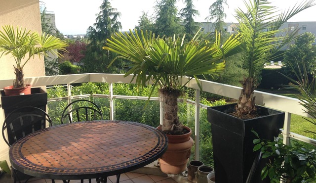 small paradise with terrace large swimming pool in peace 10 minutes from the historic center