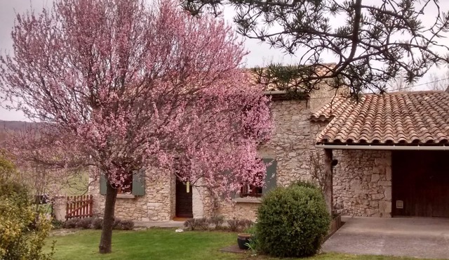 Small Provencal mas in local stone surrounded by nature.