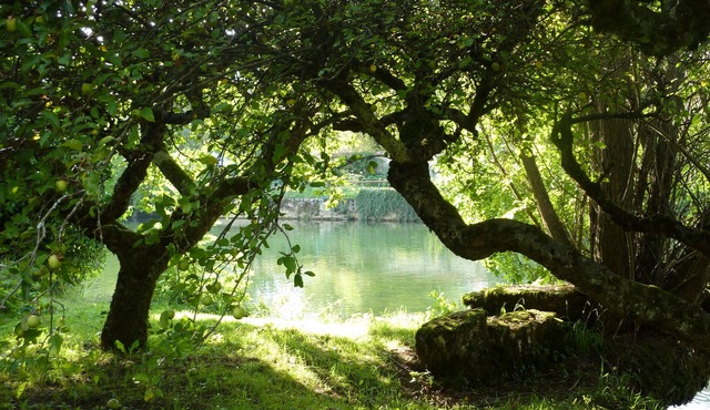 Small, quiet gite close to the center