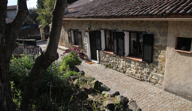 Small quiet house surrounded by olive trees between sea and mountains