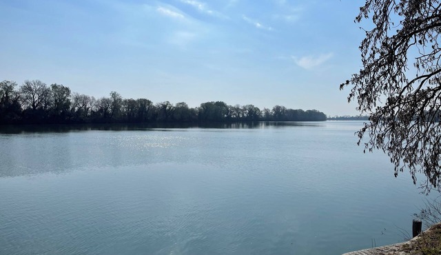Small semi-detached house in the Camargue on the banks of the Petit Rhône