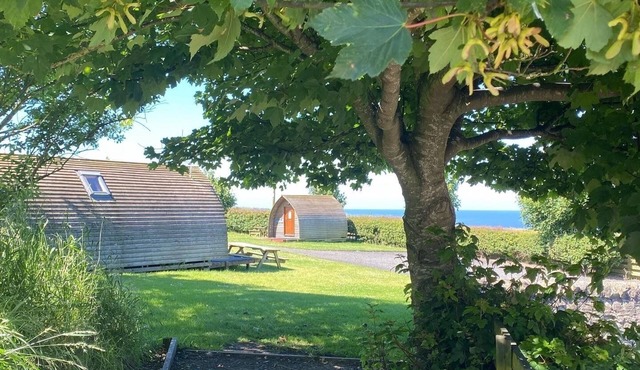 Small Standard Wooden cabin