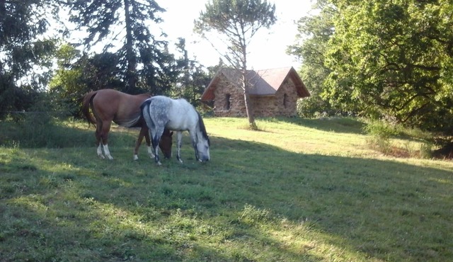Small stone house of the most unusual in the country