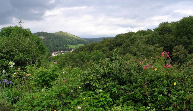 Small stone house overlooking the Pyrenees foothills (sleeps 2)