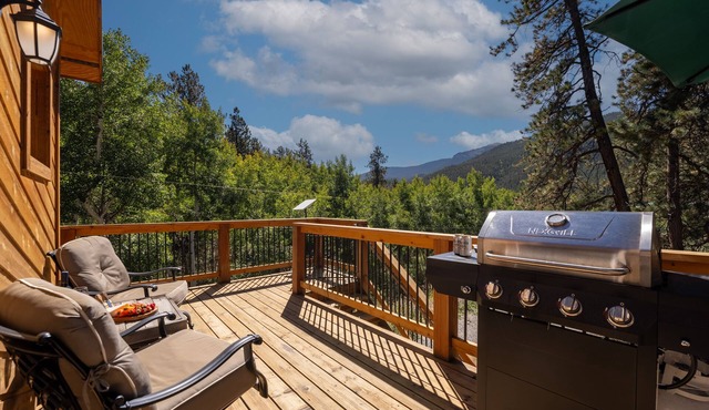 Small Town Charm -Stunning Mtn Views - Sauna- AC - Pike Forest Paradise