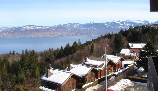 Smart 2-bedroom apartment, great lake views, minutes from ski runs and beaches