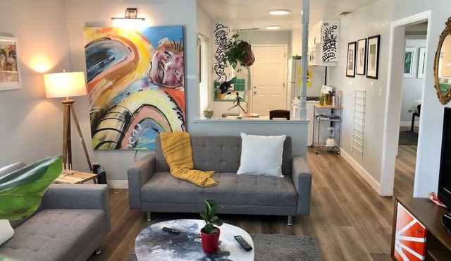 Smart, Eclectic ART HOUSE near UC Davis Med Center