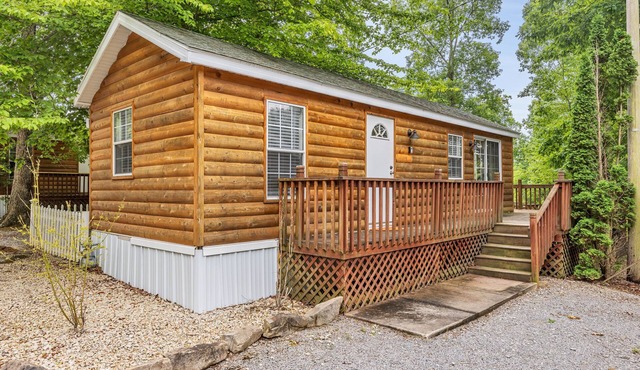 Smarter than the Average Stay at the Yogi Cottage!