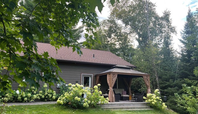 Smith Lake Cabin with Game Room