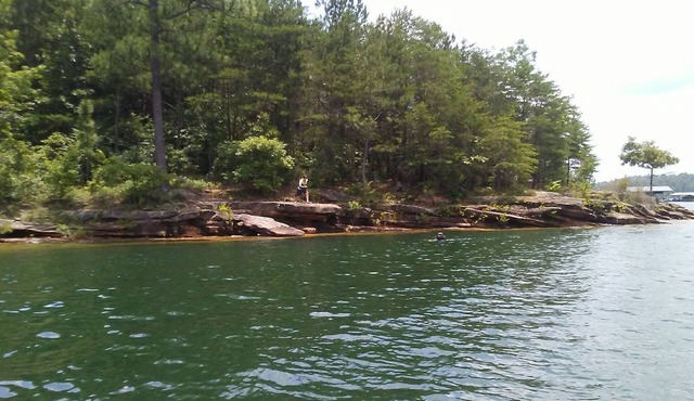 Smith Lake Escape! Comfy, colorful, family friendly home. Private boat launch