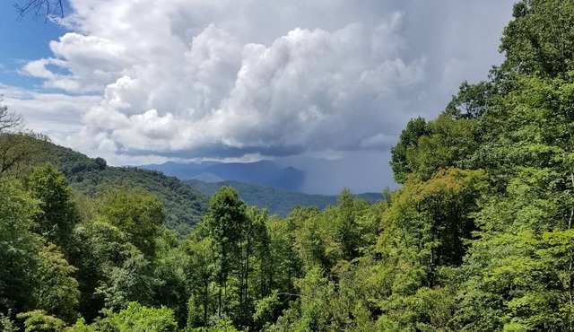 Smoky Mountain Depot ~ Great Secluded Cabin in a Gated Community
