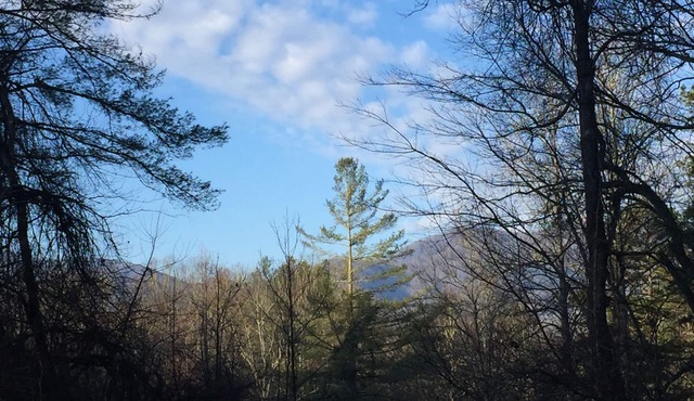 Smoky Mountain Getaway. Enjoy Seclusion,Views,Motorcycling, Shops w Paved Access