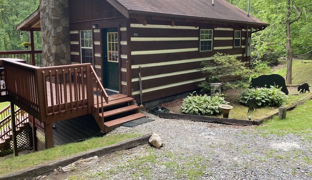 Smoky Mountain Meadows - Mountain view!! Pet Friendly - NO PET FEES!