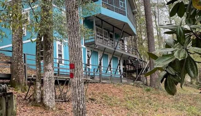 Smurf House on Thomas Mill