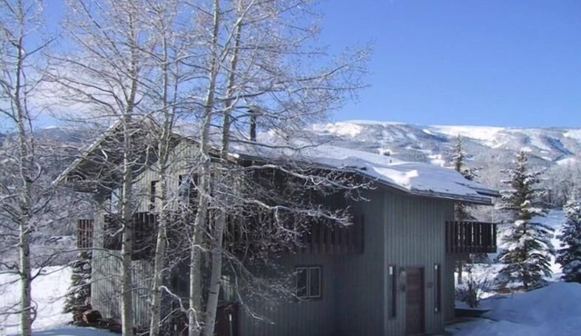 Snoke Chalet -Your Home in Snowmass