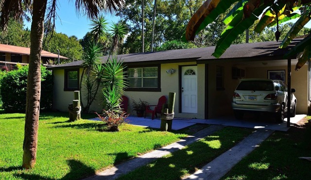Snorkel with the Manatees in Your Back Yard - Kayaks Included