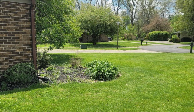 Snow Birds Flew the Coop