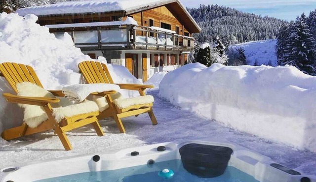 Snow chalet, mountain apartment