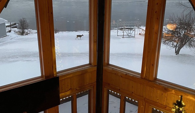 SNOW SNOW SNOW! Log cabin on Huron Bay. Hot tub & sauna available year round.