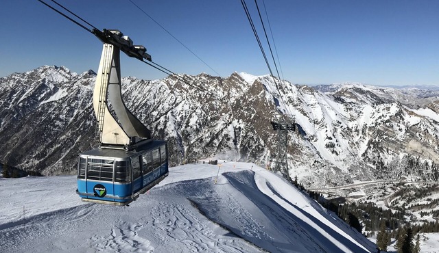 Snowbird Cliff Club/Ski in-Ski out! January 31–February 07, 2026; sleeps up to 4