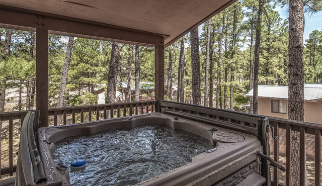 Snowcap Mountain Lodge, 5 Bedrooms, WiFi, Fireplace, Gas Grill, Sleeps 15