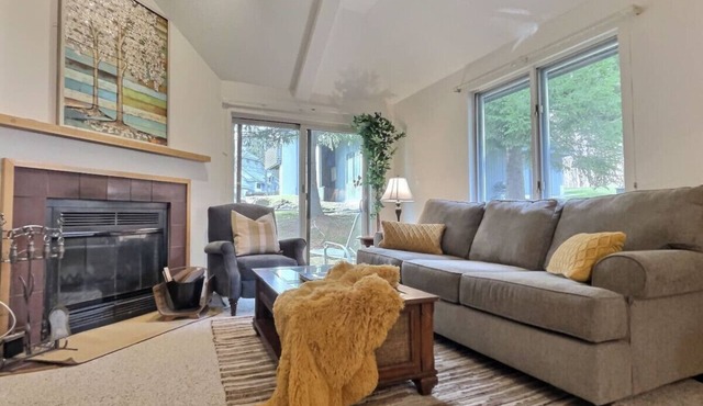 SnowCub Pets Indoor Pool Hot Tub Sauna, FirePlace